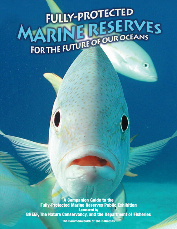A cover featuring two blue fish and the title: "Fully-Protected Marine Reserves for the Future of Our Oceans."
