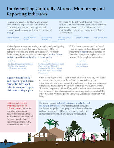 Cover page of the report on Implementing Culturally Attuned Monitoring and Reporting Indicators.