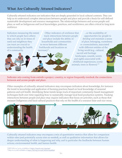 Cover page of report on What Are Culturally Attuned Indicators and What Process Can You Use to Identify Them?