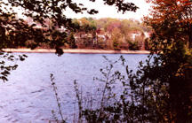 A body of water seen through the branches of foliage on the near shore.