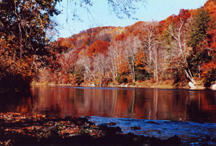 A body of water seen from a position on the near shore. The far shore has trees with colorful autumn foliage.