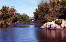 A river with banks covered with scrubby vegetation and a large boulder protruding from the water along one bank.