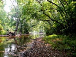 A narrow creek with trees along both banks.