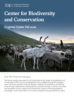 The cover page of the Progress Report featuring white reindeer with large antlers in front of a bright blue sky