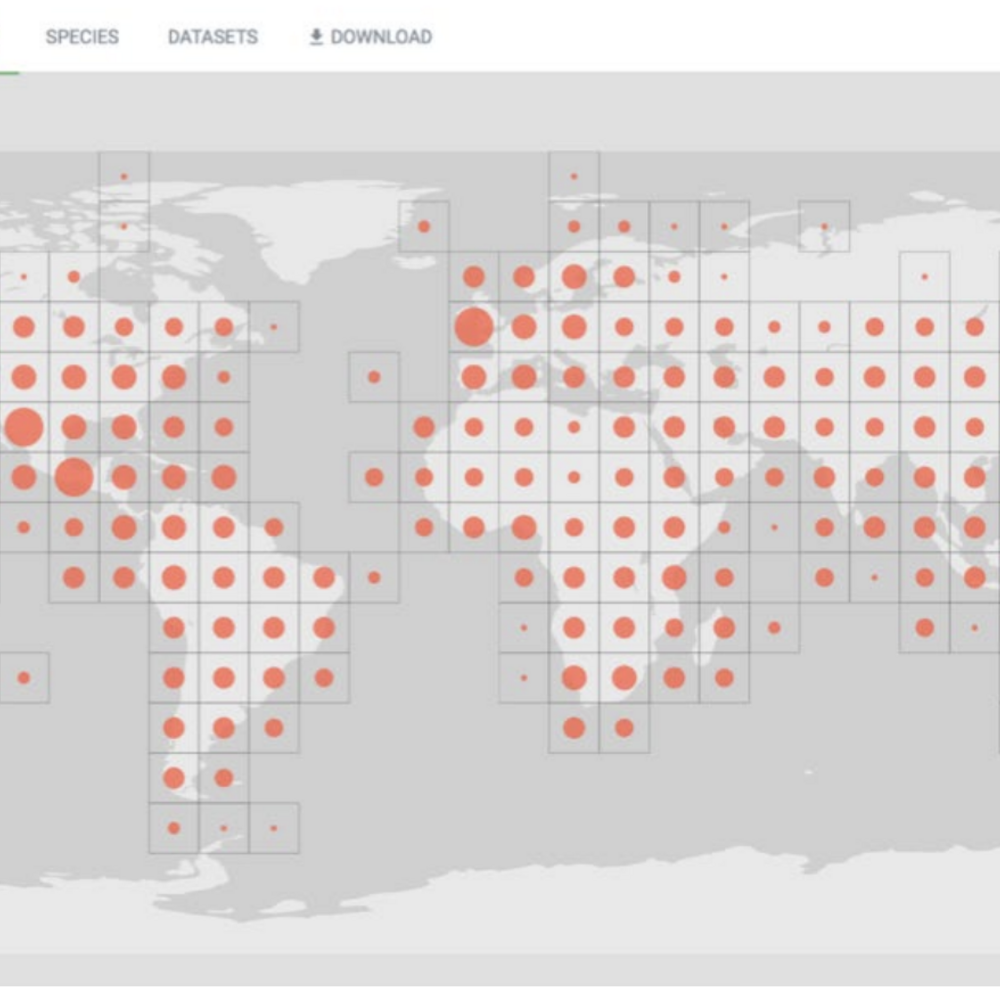 Map view of biogeographic search occurances.