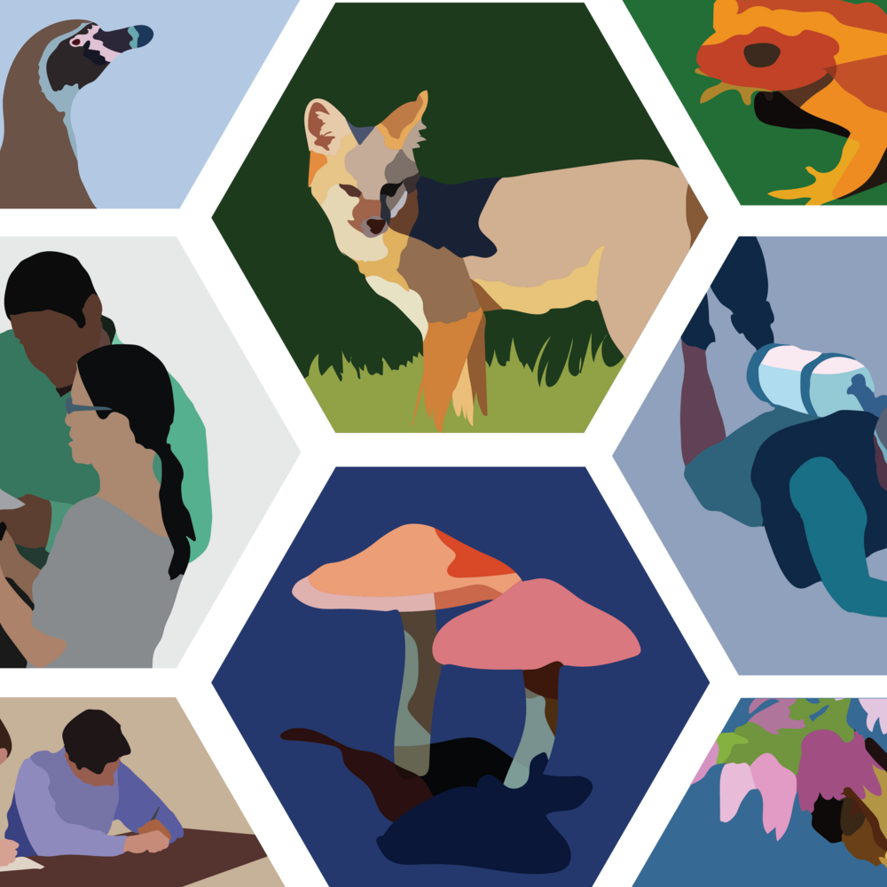 A diverse group of people practice conservation science.