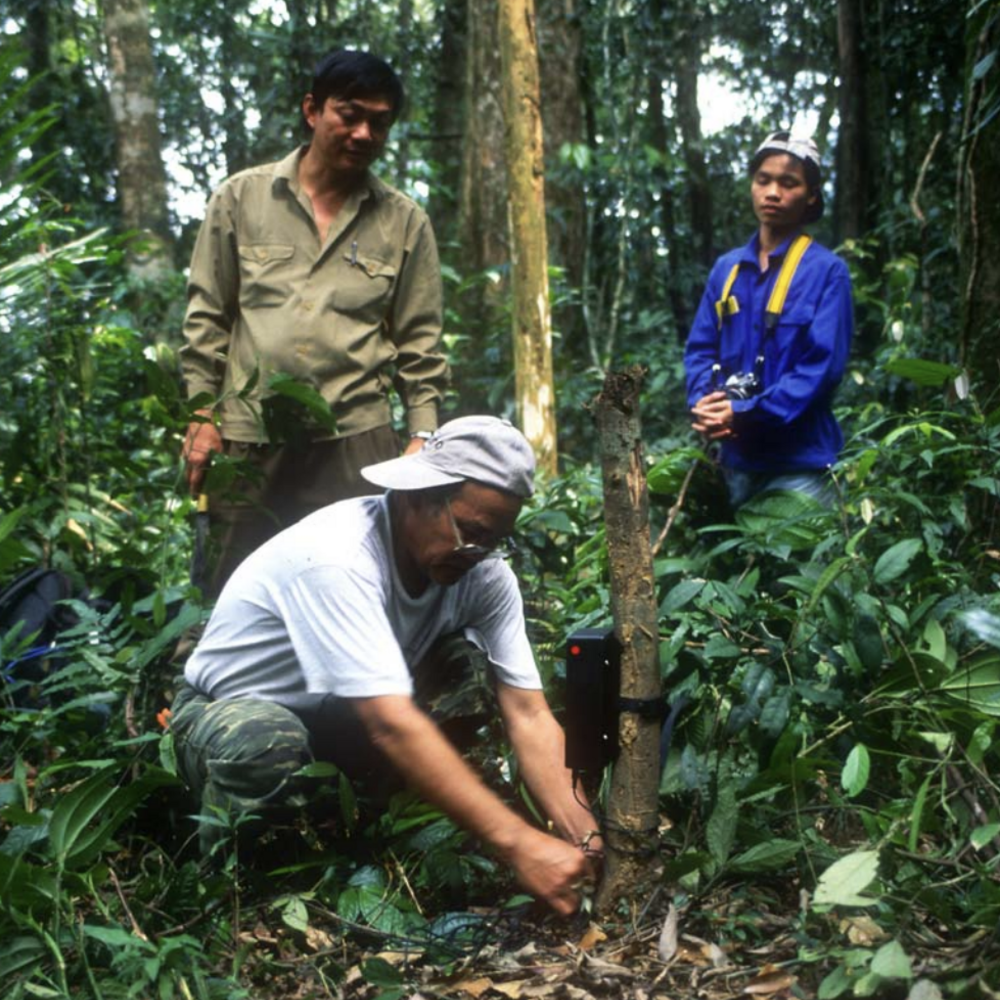 Two men watch as a third man attaches a monitoring device to a tree stump.