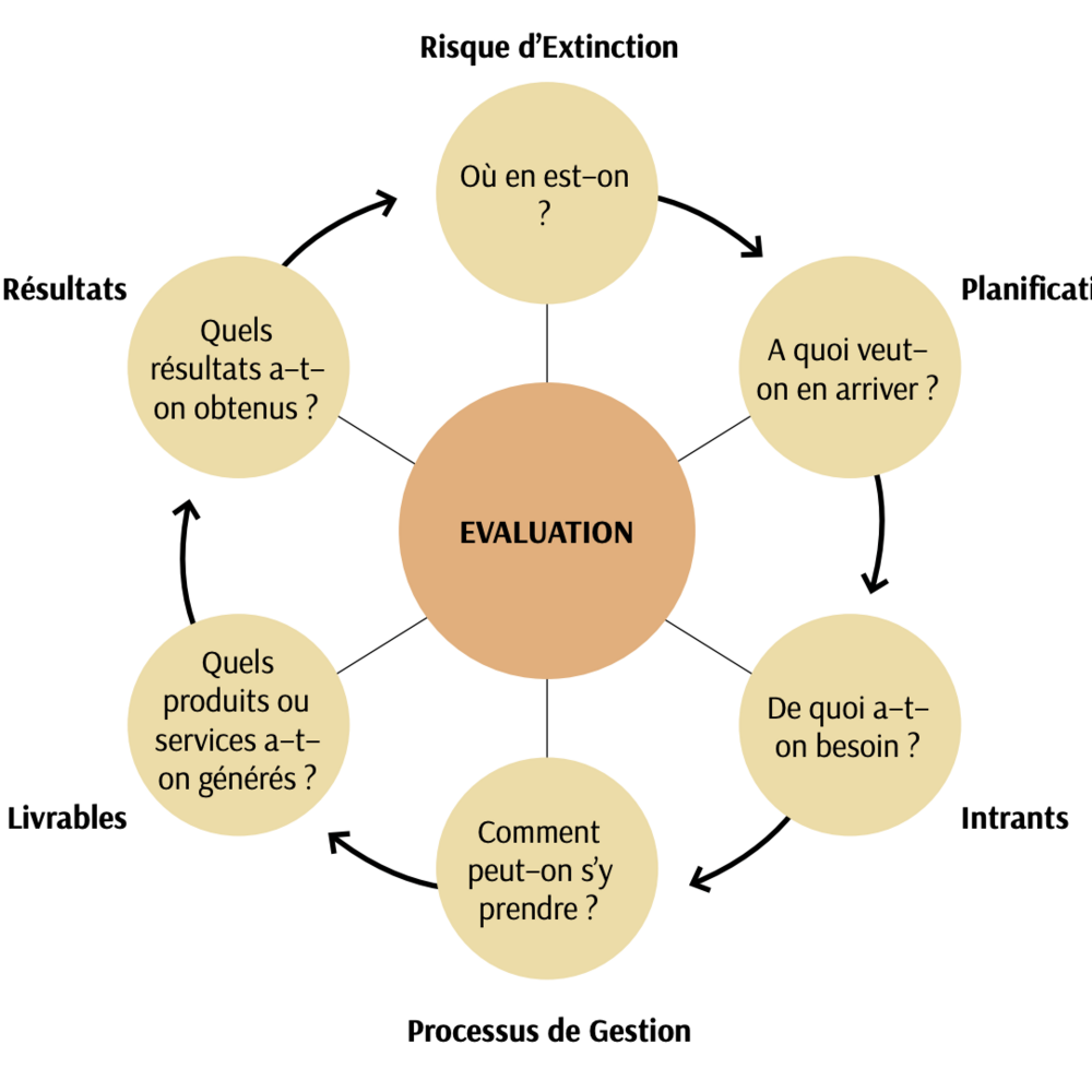An evaluation chart.