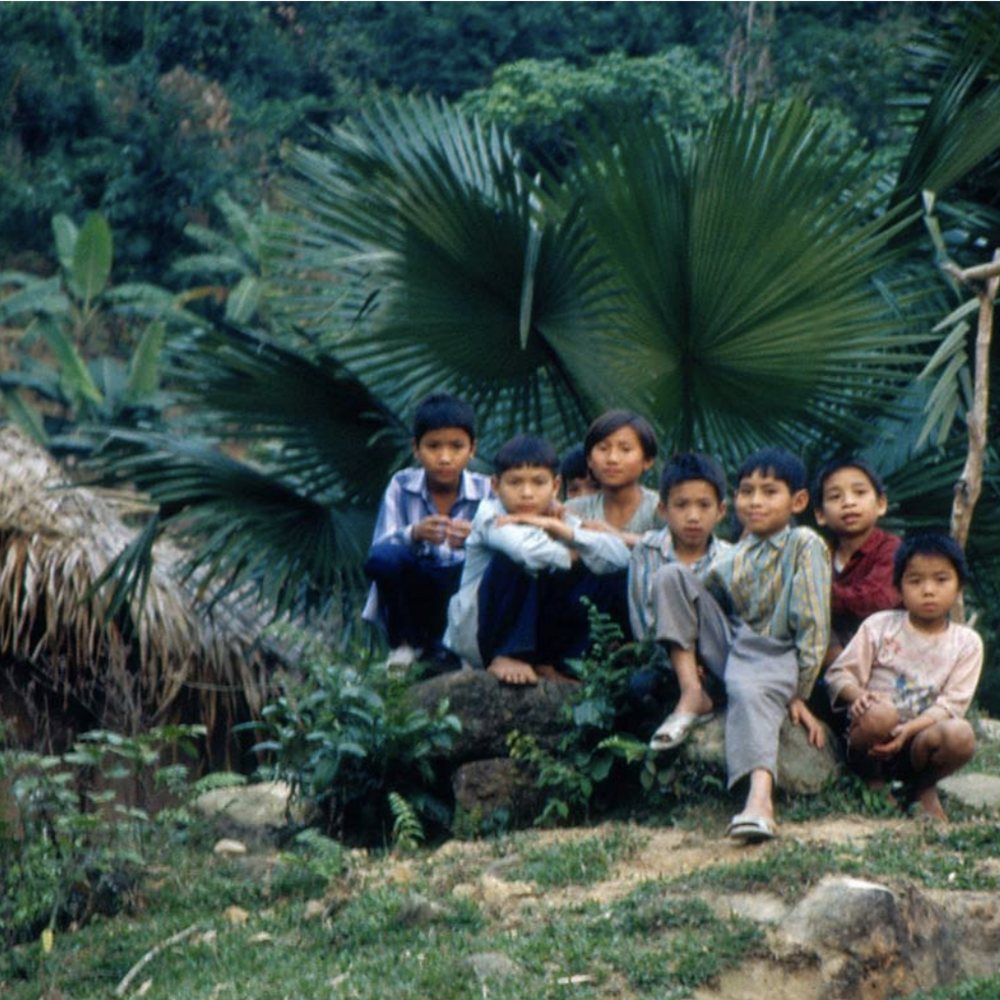 A group of children sits on a rock in front of lush foliage.