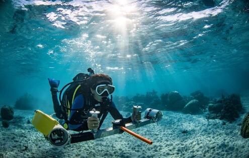 Scuba diver conducting diver operated video (stereo-DOV) survey at Mo'orea, French Polynesia. 