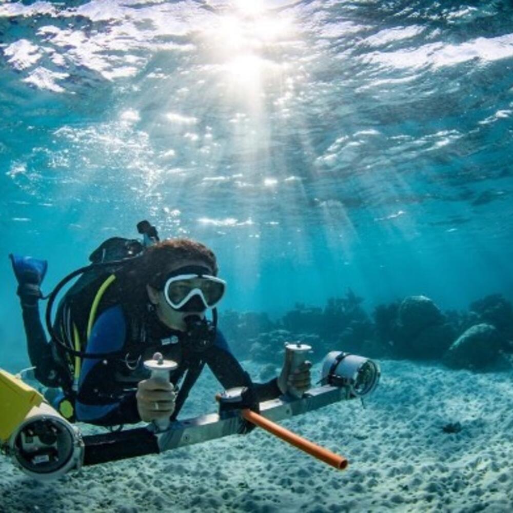 Scuba diver conducting diver operated video (stereo-DOV) survey at Mo'orea, French Polynesia. 
