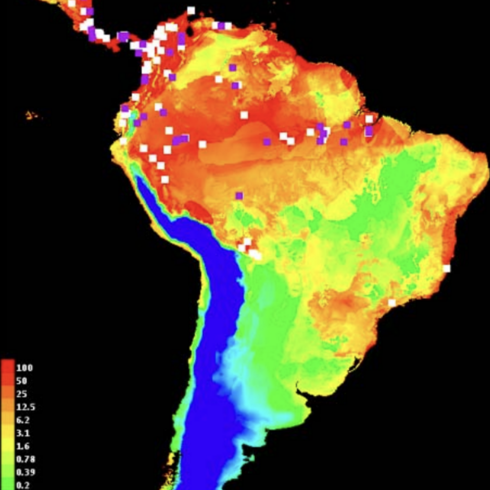 Different parts of South America are lit up on this species distribution model.