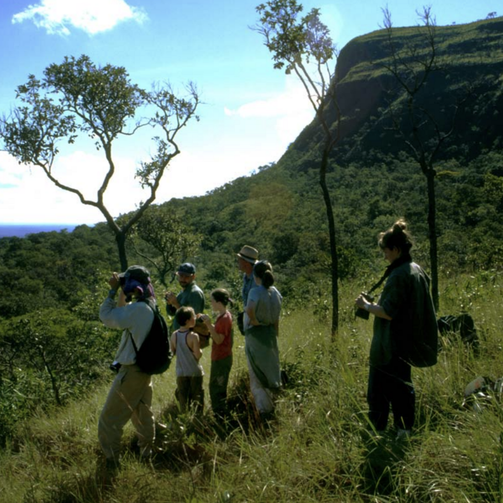 A group of people hike on a lush hill with a blue sky.