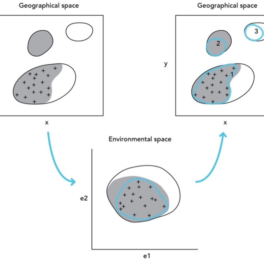 Diagram illustrating how a hypothetical species’ distribution model may be fitted to observed species occurrence records