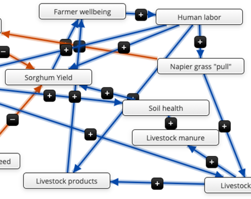 Blue and orange arrows connecting boxes of descriptive words as an example of the mental modeler software