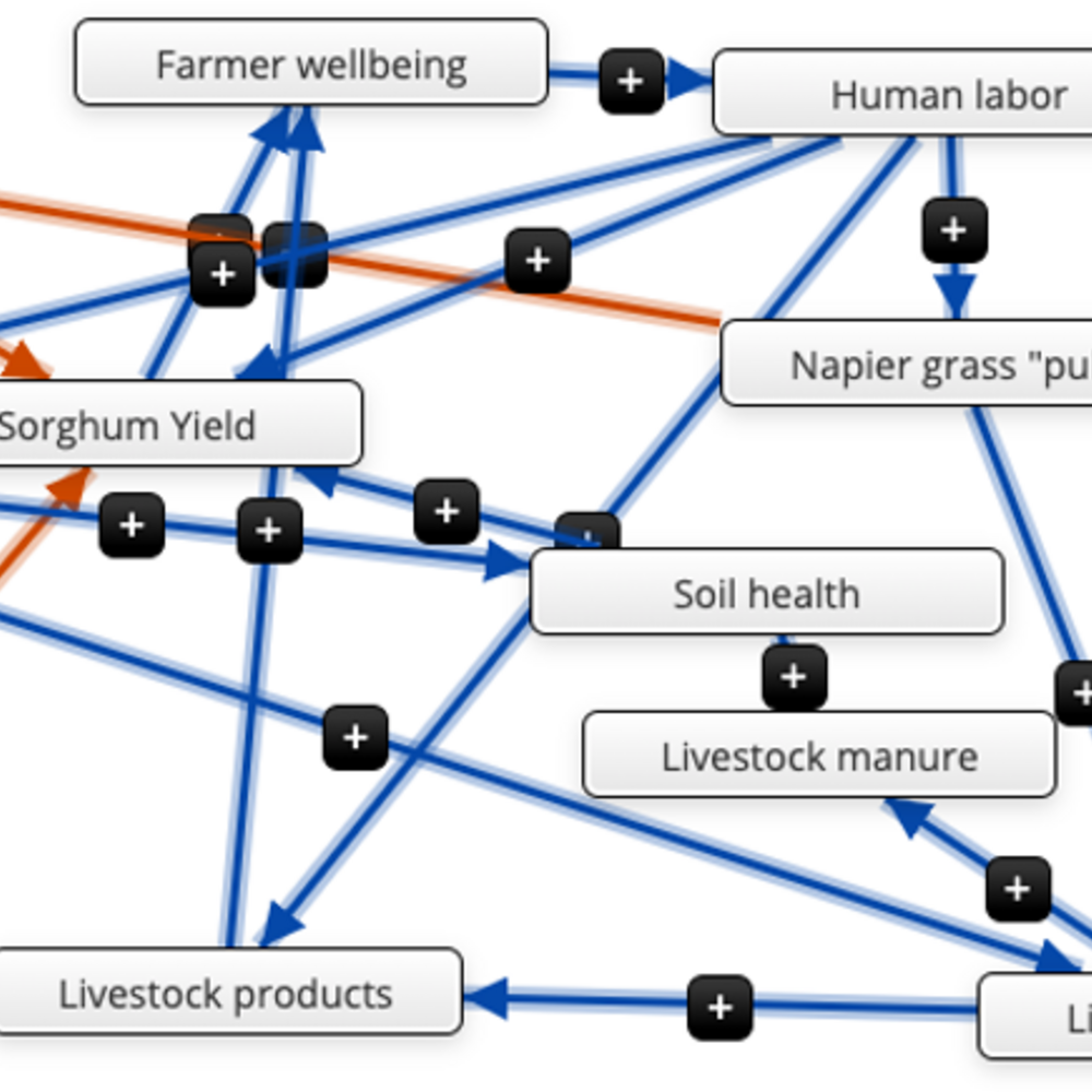 Blue and orange arrows connecting boxes of descriptive words as an example of the mental modeler software