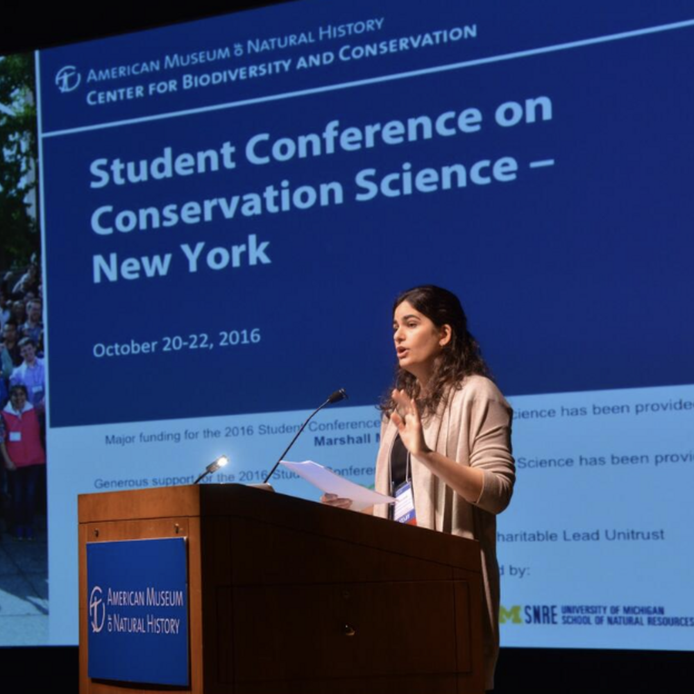 A woman stands at a podium and speaks.