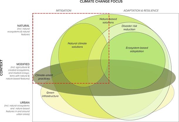 Green and yellow circles depicting the interaction between climate change focus on x axis and focus on y axis