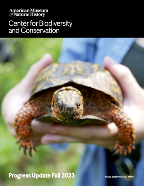 Cover of the CBC fall 2023 progress report featuring a close-up photo of a turtle