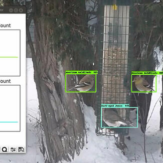 Machine learning software identifying and counting animals in real time