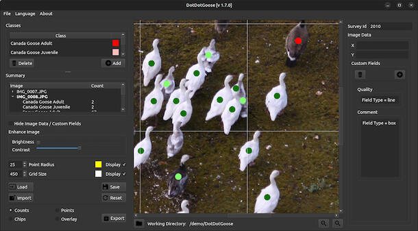 DotDotGoose program window showing green and red dots superimposed on white geese.