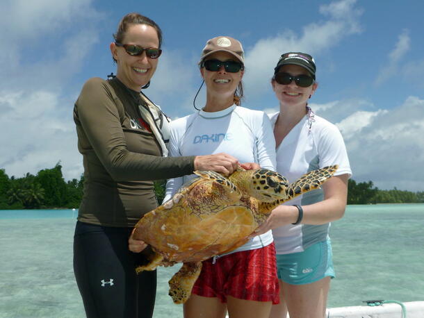 Three researchers holding a sea turtle from a boat