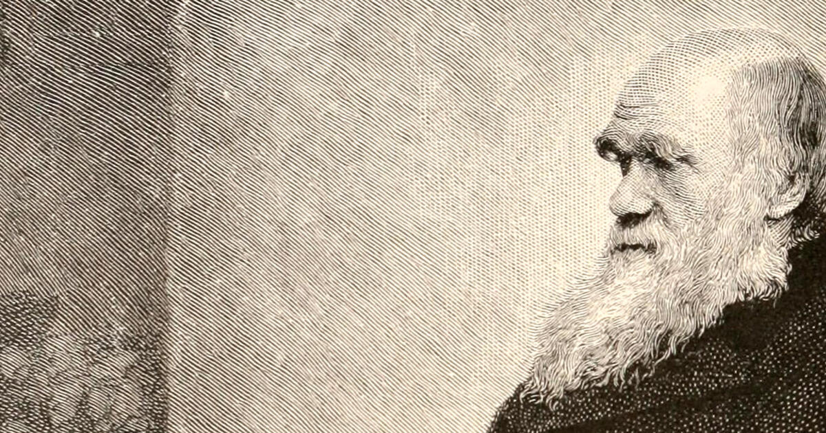 Darwin Manuscripts Project Amnh