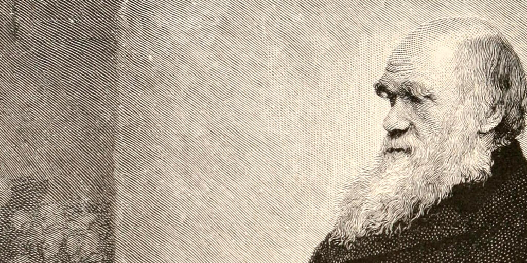 Darwin Manuscripts Project Amnh