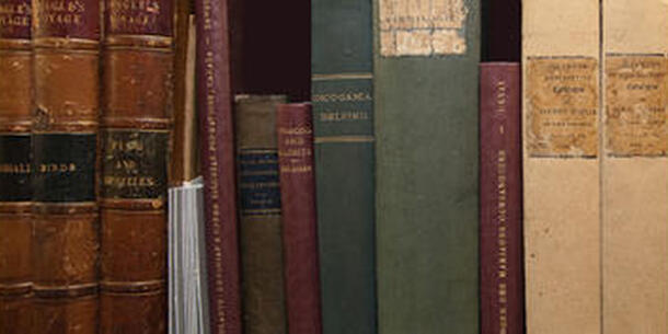 A books shelf containing a variety of Darwin's books