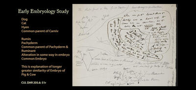 DMP-embryology.jpg-wide-1080.jpg