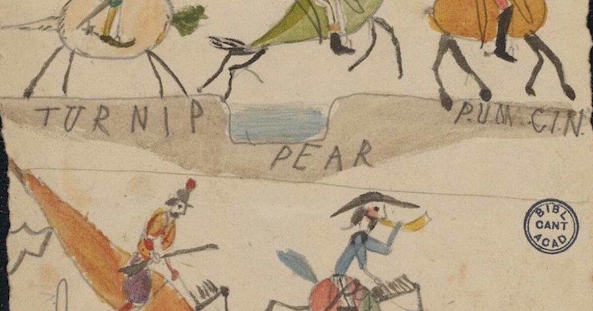 charles darwin's drawings