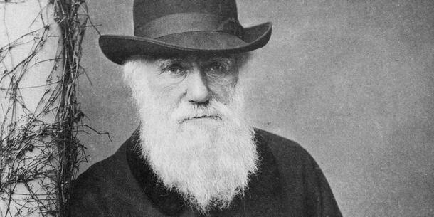 Charles Darwin at his home at Down House, Kent, 1880