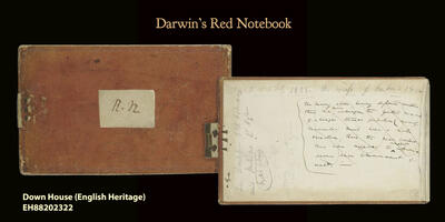 Rednotebook_dynamic_lead_slide