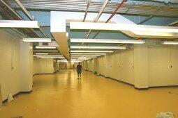 refurbished collection hall in Vertebrate Paleontology Department for fossil mammal collection