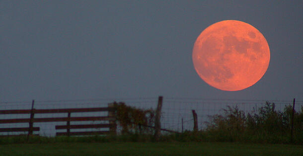 Harvest Moon rising.