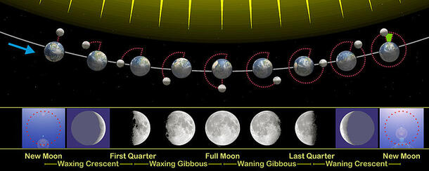 Lunar Phases Diagram