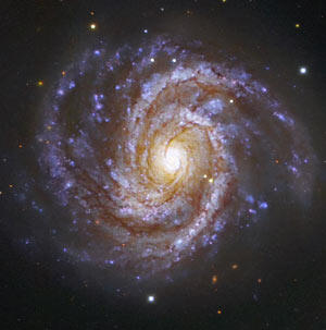 M100 Galaxy