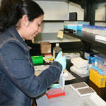 Female scientist working in lab.