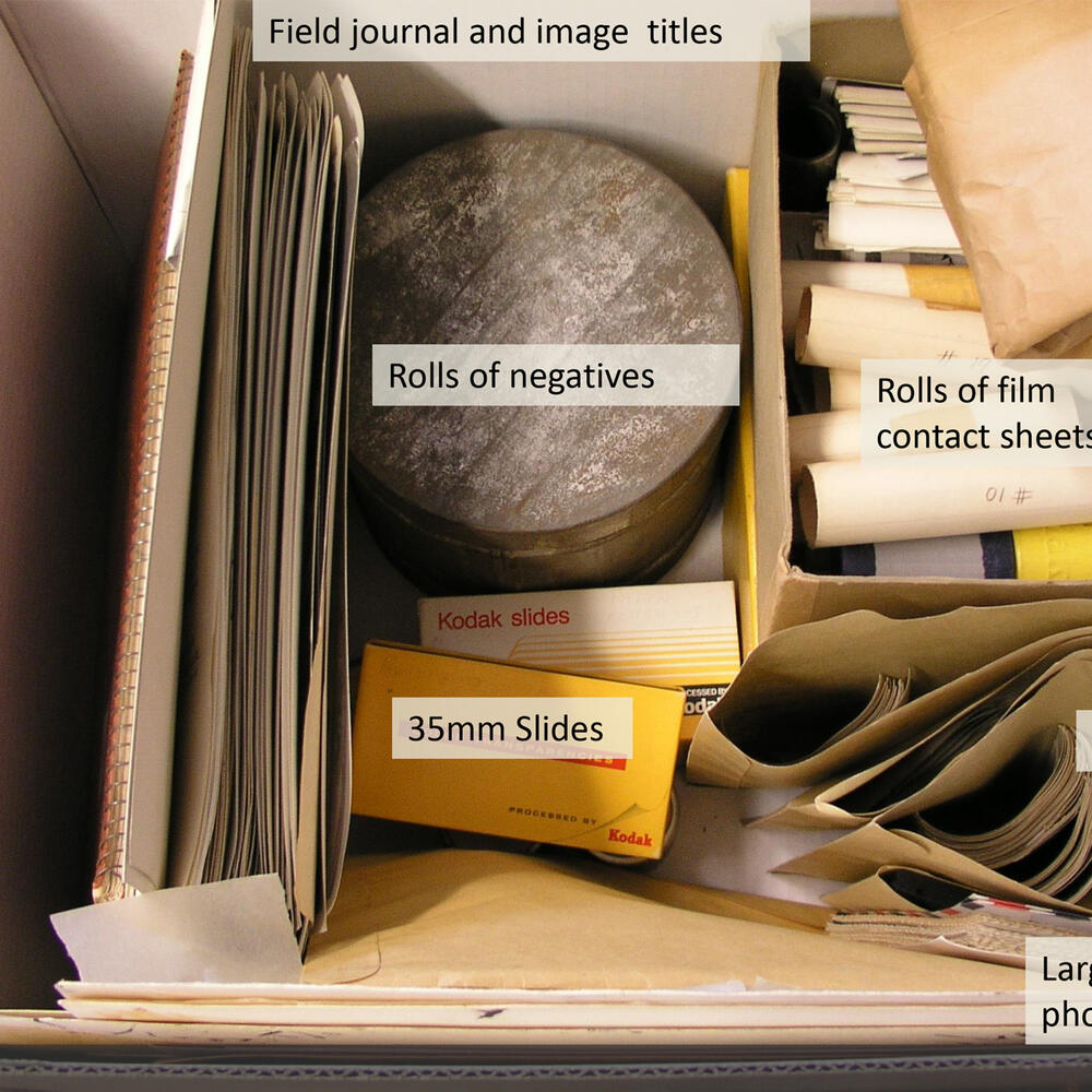 Open bankers box with labels indicating field journals, rolls of negatives, rolls of film and contact sheets, 35mm slides, and large format photos.