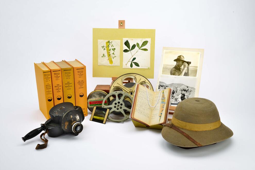 Memorabilia from an early 20th-century expedition, including field sketches, books, film reels, photographs, and pith helmet.