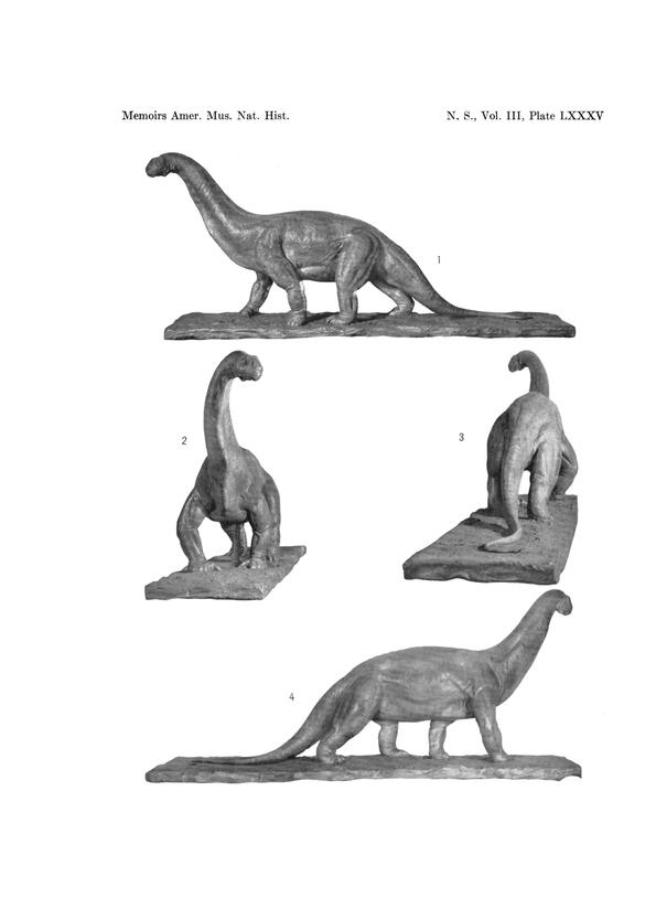 Four views of Edwin Christman's sculpture of Camarasaurus.