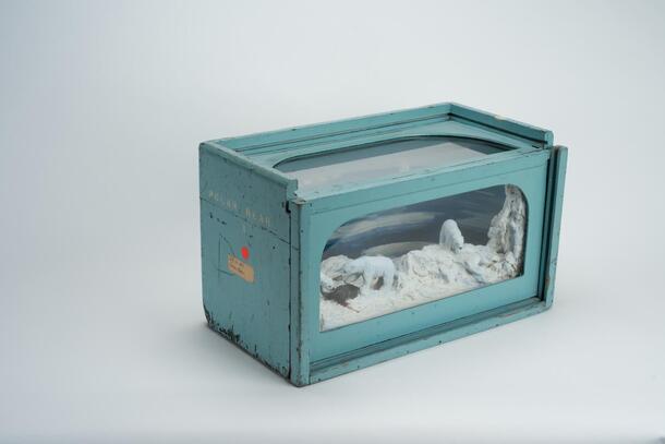 Open view of the Education Department's circulating diorama of polar bears, circa 1967.