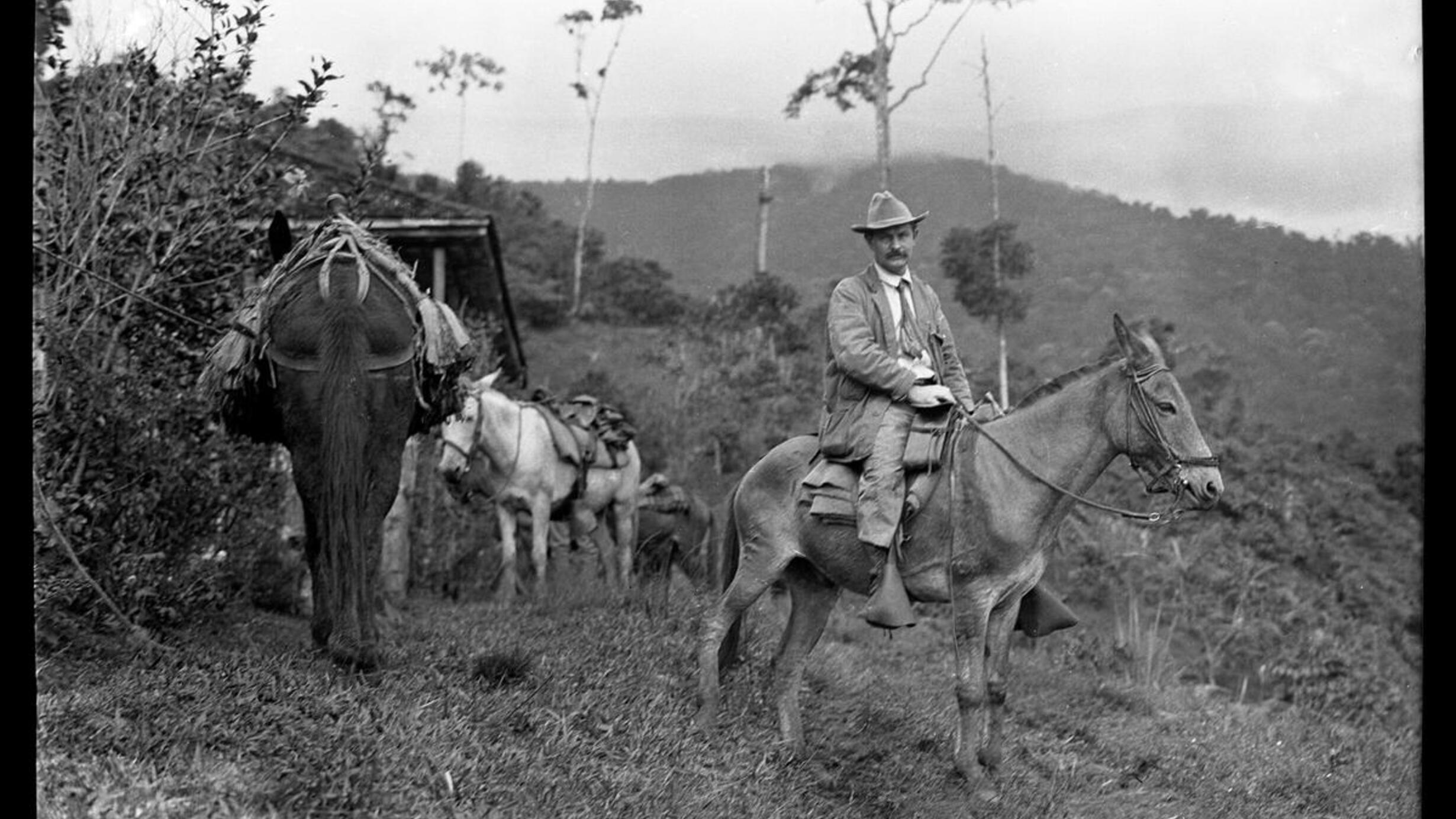Frank M. Chapman on horseback at Miraflores, Colombia, April, 1911