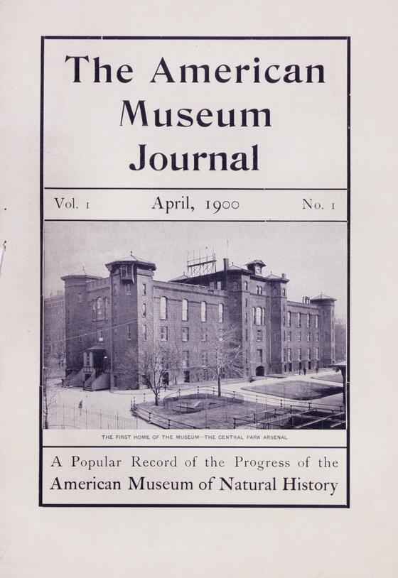 Front cover of the first issue of The American Museum Journal, April 1900 - AMNH Library, Image No. ptc-7862