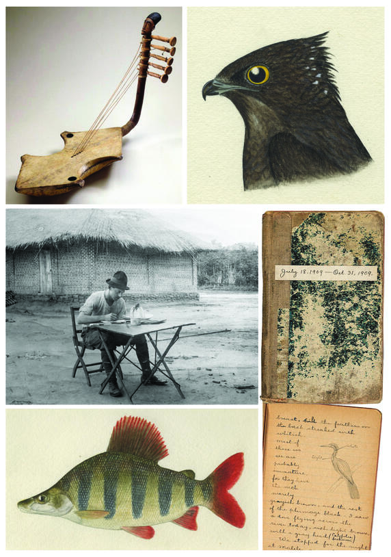 Archival objects from the American Museum Congo Expedition (1909-1915).