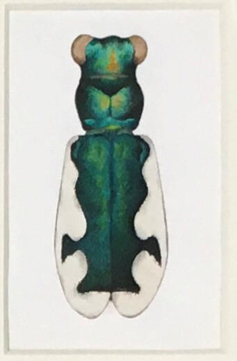 Eunota californica pseudoerronea – California Tiger Beetle, Marjorie Statham [Favreau] (1911-2008), Opaque watercolor and ink on paper