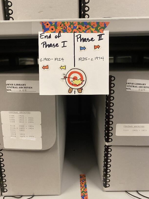 Image of Central Archives collection boxes on shelf with note indicating project progress.