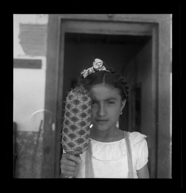 Socorro holding the cone of the now endangered cycad Ceratozamia norstogii, Monserrate, Chiapas, March 10, 1952