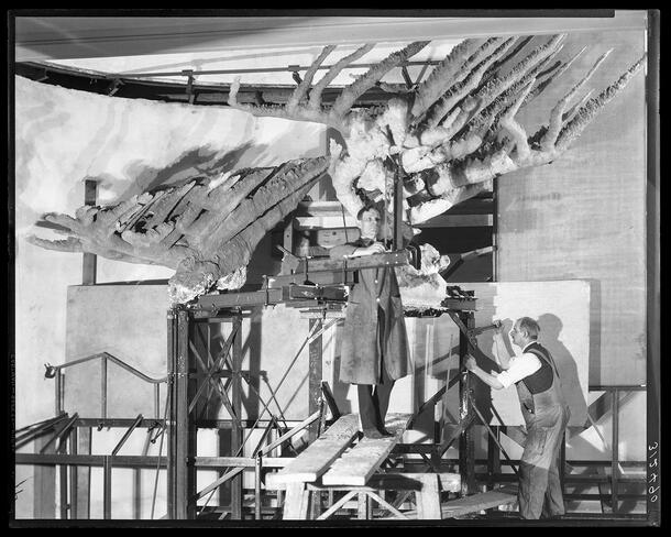 Curators Roy Miner and Chris Olsen stand on scaffolding and install large coral reef model for a Museum diorama.