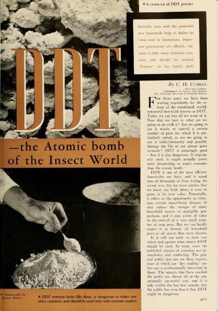 Excerpt from an article written by Curran stressing the dangers of DDT in the November 1945 issue of the Museum’s magazine Natural History